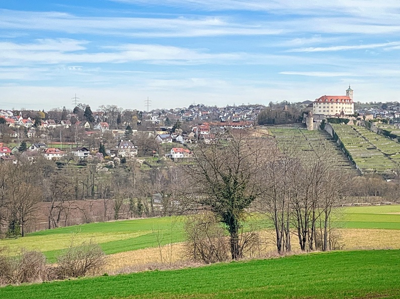 23-03-17 11-35-00 4892.jpeg